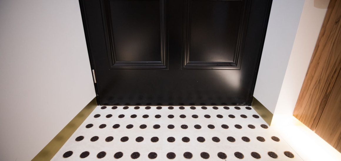 Bronze INTRAdisc entrance barrier matting discs